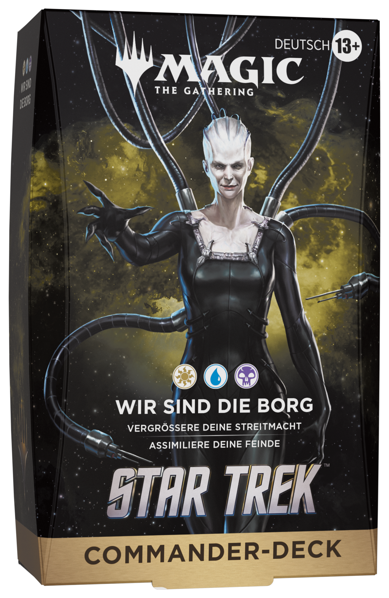 Bild-Alt-Text